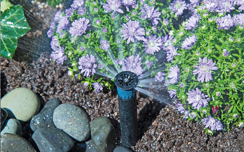 Wasser zur richtigen Zeit am richtigen Ort